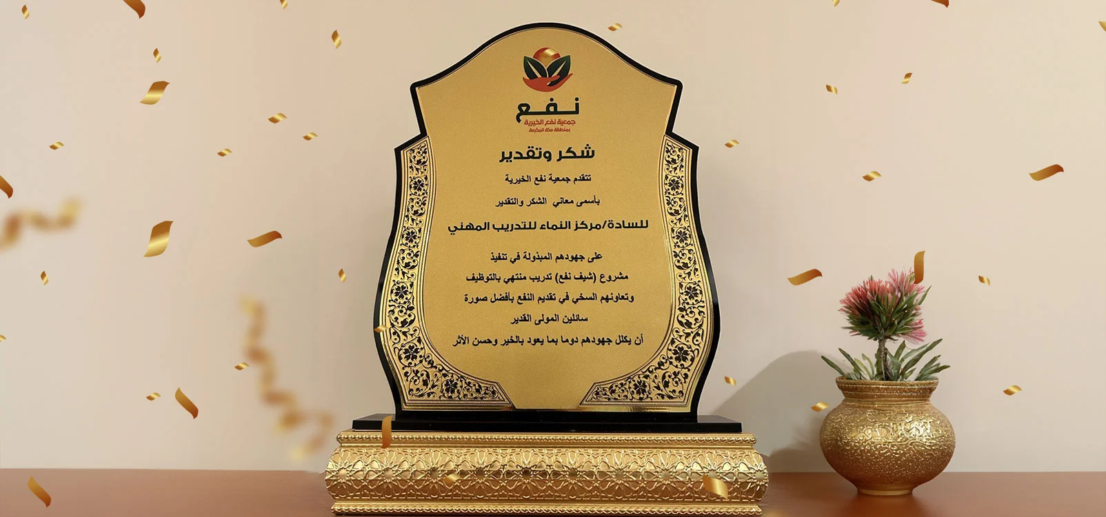 النماء المهني للتدريب